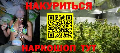 гашик Донской
