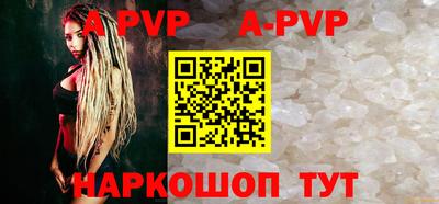 гашик Донской