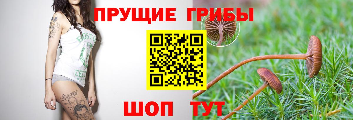 Галлюциногенные грибы прущие грибы  Вход с VPN  Нижний Тагил 