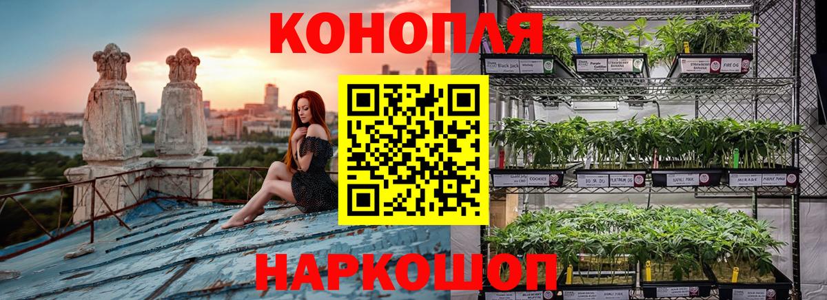 Каннабис тримм  Вход с VPN  Канабис MAZAR  Нижний Тагил  Марихуана SATIVA & INDICA 